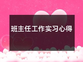 班主任工作實(shí)習(xí)心得