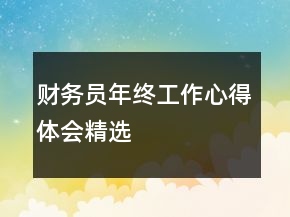 財務(wù)員年終工作心得體會精選