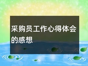 采購(gòu)員工作心得體會(huì)的感想
