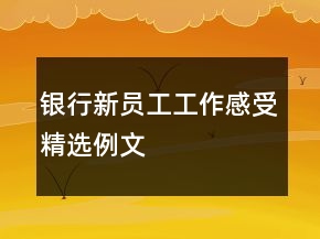 銀行新員工工作感受精選例文