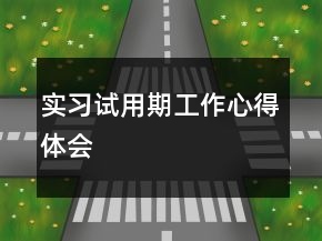 實習(xí)試用期工作心得體會