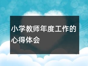 小學(xué)教師年度工作的心得體會