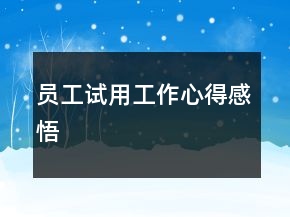 員工試用工作心得感悟