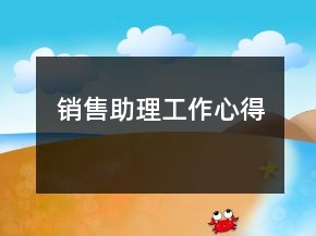 銷(xiāo)售助理工作心得