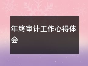 年終審計(jì)工作心得體會