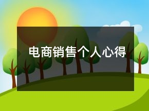 電商銷售個(gè)人心得
