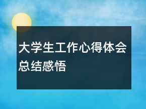 大學(xué)生工作心得體會總結(jié)感悟