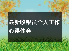最新收銀員個(gè)人工作心得體會(huì)