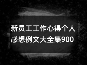 新員工工作心得個人感想例文大全集900字