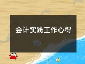 會(huì)計(jì)實(shí)踐工作心得