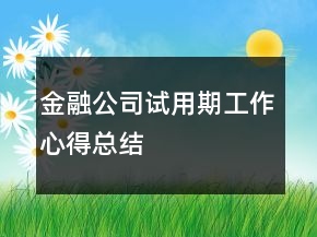 金融公司試用期工作心得總結