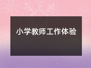 小學(xué)教師工作體驗(yàn)