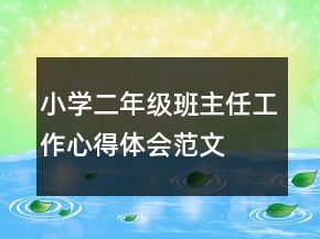 小學(xué)二年級(jí)班主任工作心得體會(huì)范文
