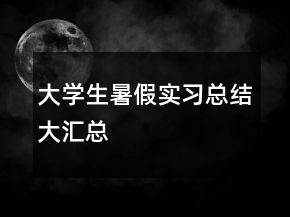 大學生暑假實習總結大匯總