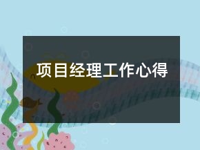 項(xiàng)目經(jīng)理工作心得