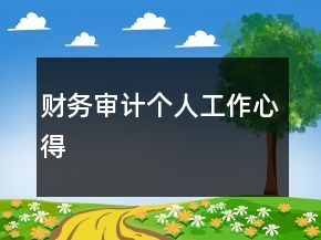 財務(wù)審計個人工作心得
