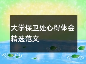 大學(xué)保衛(wèi)處心得體會(huì)精選范文