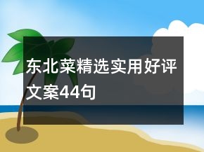 東北菜精選實用好評文案44句