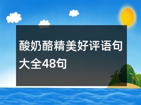 酸奶酪精美好評(píng)語句大全48句