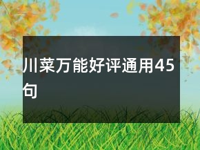 川菜萬能好評通用45句
