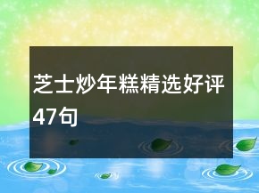 芝士炒年糕精選好評(píng)47句