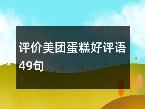 評價美團蛋糕好評語49句