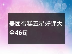 美團蛋糕五星好評大全46句