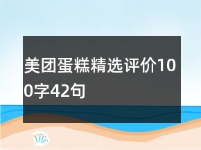 美團(tuán)蛋糕精選評價100字42句