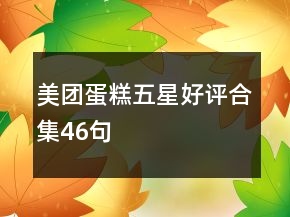 美團蛋糕五星好評合集46句