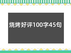 燒烤好評100字45句