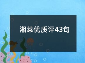 湘菜優(yōu)質(zhì)評(píng)43句
