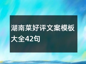 湖南菜好評(píng)文案模板大全42句
