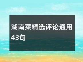 湖南菜精選評論通用43句