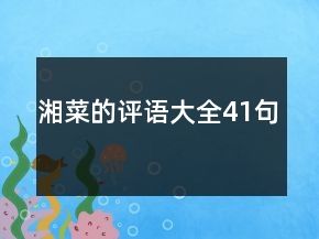 湘菜的評語大全41句