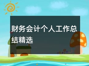 財(cái)務(wù)會(huì)計(jì)個(gè)人工作總結(jié)精選