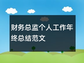 財務(wù)總監(jiān)個人工作年終總結(jié)范文