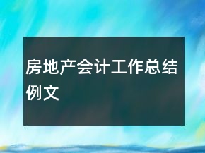 房地產(chǎn)會(huì)計(jì)工作總結(jié)例文