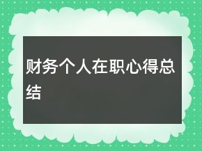 財(cái)務(wù)個(gè)人在職心得總結(jié)