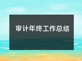審計年終工作總結