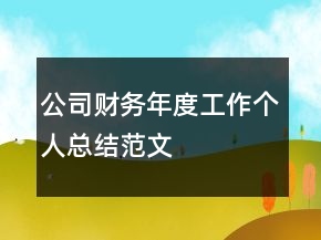公司財(cái)務(wù)年度工作個(gè)人總結(jié)范文