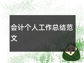 會計個人工作總結范文