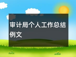 審計局個人工作總結(jié)例文