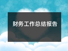 財務工作總結報告