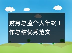 財(cái)務(wù)總監(jiān)個(gè)人年終工作總結(jié)優(yōu)秀范文