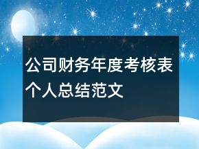 公司財務年度考核表個人總結范文