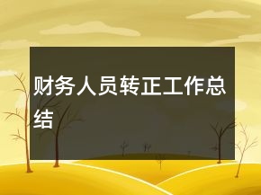 財(cái)務(wù)人員轉(zhuǎn)正工作總結(jié)