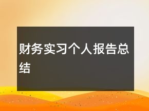 財(cái)務(wù)實(shí)習(xí)個(gè)人報(bào)告總結(jié)