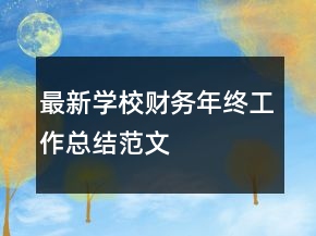 最新學(xué)校財(cái)務(wù)年終工作總結(jié)范文