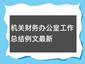 機關財務辦公室工作總結例文最新