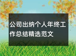 公司出納個(gè)人年終工作總結(jié)精選范文
